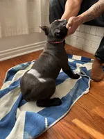 processed/da962238-e3f8-4ae6-bc6a-c23fc69f044c/listing/b35e181d-c5f1-41f4-b78a-36fea33e0f6b/a3120cd8-fe06-428f-a0a7-0dc8e694de9e