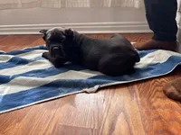 processed/da962238-e3f8-4ae6-bc6a-c23fc69f044c/listing/b35e181d-c5f1-41f4-b78a-36fea33e0f6b/e22674a7-672f-437c-b259-7540846b7cf5