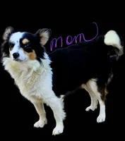 processed/da994c7c-0a38-48d8-8e2c-2981a061e82a/listing/b0bbb22b-300c-4da6-a12c-6eef25d16800/0594c7c3-3e10-4ce4-90e6-eca533191731