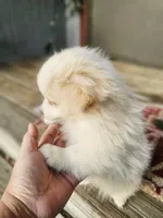 processed/da994c7c-0a38-48d8-8e2c-2981a061e82a/listing/b0bbb22b-300c-4da6-a12c-6eef25d16800/3f458937-3c9d-4ac1-a23a-6779b09ecb03