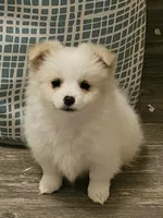 processed/da994c7c-0a38-48d8-8e2c-2981a061e82a/listing/b0bbb22b-300c-4da6-a12c-6eef25d16800/5cbbf9f6-a793-4aea-8be4-4dd9ce2dabf3