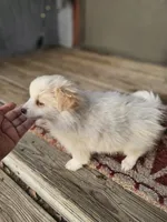 processed/da994c7c-0a38-48d8-8e2c-2981a061e82a/listing/b0bbb22b-300c-4da6-a12c-6eef25d16800/92b846e9-339d-4a7a-b29b-b96a0afc9e0c