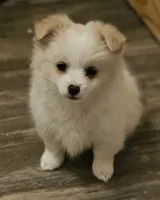 processed/da994c7c-0a38-48d8-8e2c-2981a061e82a/listing/b0bbb22b-300c-4da6-a12c-6eef25d16800/a542475f-aa8f-4168-a27d-5792047de5ee