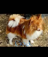 processed/da994c7c-0a38-48d8-8e2c-2981a061e82a/listing/b0bbb22b-300c-4da6-a12c-6eef25d16800/c475d4f3-31d6-4586-8366-7e406765c4f4