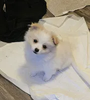 processed/da994c7c-0a38-48d8-8e2c-2981a061e82a/listing/b0bbb22b-300c-4da6-a12c-6eef25d16800/d157345b-f3ab-485f-b3ff-623e7e687533