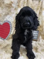 processed/da9e3776-b8f1-4456-89c2-b9e84015124c/listing/1b1fc105-789b-41f7-b97a-c9f07179634e/b8d9c257-eae7-41c2-ad12-a444a00b16fa