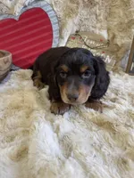 processed/da9e3776-b8f1-4456-89c2-b9e84015124c/listing/92eece0a-3dab-417d-97e8-d969b00e80c3/621f9671-ac55-40fb-a38b-990741fa18b1