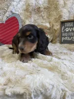 processed/da9e3776-b8f1-4456-89c2-b9e84015124c/listing/92eece0a-3dab-417d-97e8-d969b00e80c3/8225a7f9-3ed3-4fb6-a3cb-cfaeb8b579e3