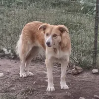 processed/daa0828e-9ec7-4d79-9ecf-45448d07f433/listing/10eadb66-bbe4-46ea-9459-0ba978a5f3de/4455bca0-4bba-428c-915f-43b07dbe7739