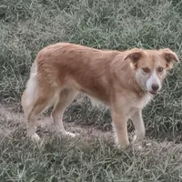 processed/daa0828e-9ec7-4d79-9ecf-45448d07f433/listing/10eadb66-bbe4-46ea-9459-0ba978a5f3de/47b676c4-1936-4722-89b5-e75ecc970e46