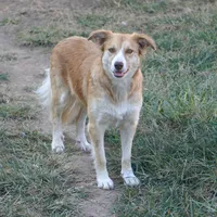 processed/daa0828e-9ec7-4d79-9ecf-45448d07f433/listing/10eadb66-bbe4-46ea-9459-0ba978a5f3de/4e22ea48-d91e-4d72-abe6-306855bd38c4