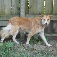 processed/daa0828e-9ec7-4d79-9ecf-45448d07f433/listing/10eadb66-bbe4-46ea-9459-0ba978a5f3de/b8afac8d-14a9-4271-83a2-317d2021172d