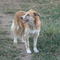 processed/daa0828e-9ec7-4d79-9ecf-45448d07f433/listing/10eadb66-bbe4-46ea-9459-0ba978a5f3de/c935ca24-d45d-4295-929d-ad02d338cff4