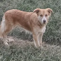 processed/daa0828e-9ec7-4d79-9ecf-45448d07f433/listing/10eadb66-bbe4-46ea-9459-0ba978a5f3de/d81c1744-095d-41e9-9421-832d0fcdc88f