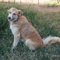 processed/daa0828e-9ec7-4d79-9ecf-45448d07f433/listing/10eadb66-bbe4-46ea-9459-0ba978a5f3de/dc7bdf73-69d7-4a1b-b28a-a1bd7af44ea3