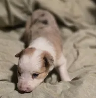 processed/daa0828e-9ec7-4d79-9ecf-45448d07f433/listing/1a999311-48f8-416c-a113-15a73866f82e/061ceb94-9986-4b10-9290-54279b60cb65