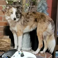 processed/daa0828e-9ec7-4d79-9ecf-45448d07f433/listing/1a999311-48f8-416c-a113-15a73866f82e/22d021b5-ac68-4500-bae5-91fe1f24e69b