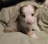 processed/daa0828e-9ec7-4d79-9ecf-45448d07f433/listing/1a999311-48f8-416c-a113-15a73866f82e/2ee462a1-c73f-4745-baf7-04be37f90070