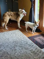 processed/daa0828e-9ec7-4d79-9ecf-45448d07f433/listing/1a999311-48f8-416c-a113-15a73866f82e/58ab2e00-c27d-4a17-9176-a416c35f41a2