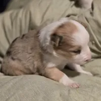 processed/daa0828e-9ec7-4d79-9ecf-45448d07f433/listing/1a999311-48f8-416c-a113-15a73866f82e/60a365f9-27aa-467c-bd18-f04296a41284