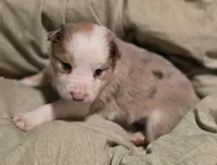 processed/daa0828e-9ec7-4d79-9ecf-45448d07f433/listing/1a999311-48f8-416c-a113-15a73866f82e/963ef68d-448c-4ca0-a8f1-4123e9a51bb7