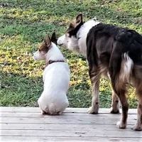 processed/daa0828e-9ec7-4d79-9ecf-45448d07f433/listing/46748e70-0a4d-499a-892d-fe705a71ddf8/c3a2505b-c195-4bbb-bfe8-4fea9962f815