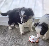 processed/daa0828e-9ec7-4d79-9ecf-45448d07f433/listing/4d3ba58b-fb27-403a-8fa7-241298930528/f0ffc870-d26b-4793-bd6b-a8ada82b156c