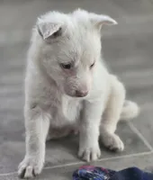 processed/daa0828e-9ec7-4d79-9ecf-45448d07f433/listing/52ef2203-2513-4474-82cc-e8ceca2e140f/97ed2ae0-b869-46d5-a456-2aa5d0a34776