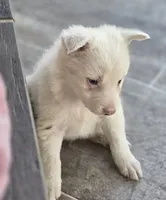 processed/daa0828e-9ec7-4d79-9ecf-45448d07f433/listing/52ef2203-2513-4474-82cc-e8ceca2e140f/f10f398c-f355-4568-83d4-4cf82042c0c7