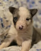 processed/daa0828e-9ec7-4d79-9ecf-45448d07f433/listing/816463c9-8c2c-4573-9f7b-3b22935cc0b3/11289297-467a-4ad1-bbc3-4e5c9777ca24