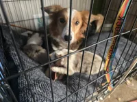 processed/daa0828e-9ec7-4d79-9ecf-45448d07f433/listing/816463c9-8c2c-4573-9f7b-3b22935cc0b3/153a471f-6799-4652-b4b7-f579b95b4d11