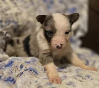 processed/daa0828e-9ec7-4d79-9ecf-45448d07f433/listing/816463c9-8c2c-4573-9f7b-3b22935cc0b3/8e8ec3d2-59cb-4639-9c8b-7bfdf732251a