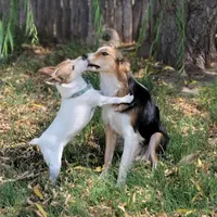 processed/daa0828e-9ec7-4d79-9ecf-45448d07f433/listing/816463c9-8c2c-4573-9f7b-3b22935cc0b3/ea233ca5-d888-475d-894f-9c931e76938d