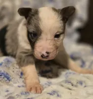 processed/daa0828e-9ec7-4d79-9ecf-45448d07f433/listing/816463c9-8c2c-4573-9f7b-3b22935cc0b3/f9a47f8a-e800-43ae-85a5-1fcb7ca7d41a