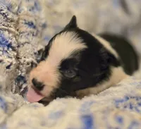 processed/daa0828e-9ec7-4d79-9ecf-45448d07f433/listing/a04d1da0-955b-4538-8026-01cde4407dfa/73c3bdde-b746-4738-86a7-73ab4864ee90