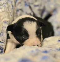 processed/daa0828e-9ec7-4d79-9ecf-45448d07f433/listing/a04d1da0-955b-4538-8026-01cde4407dfa/7bc5dd83-2bf0-4935-90c0-5312398557ea