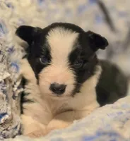 processed/daa0828e-9ec7-4d79-9ecf-45448d07f433/listing/a04d1da0-955b-4538-8026-01cde4407dfa/9950a633-7605-40f6-ae09-cf532eb10c4e