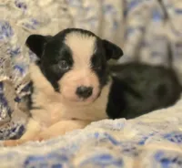 processed/daa0828e-9ec7-4d79-9ecf-45448d07f433/listing/a04d1da0-955b-4538-8026-01cde4407dfa/d7b0ce01-899e-4b36-9618-104385d12e1a