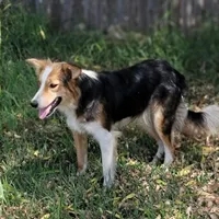 processed/daa0828e-9ec7-4d79-9ecf-45448d07f433/listing/a04d1da0-955b-4538-8026-01cde4407dfa/e9d3d04d-62c1-48ff-a7e5-6c8b41df8112