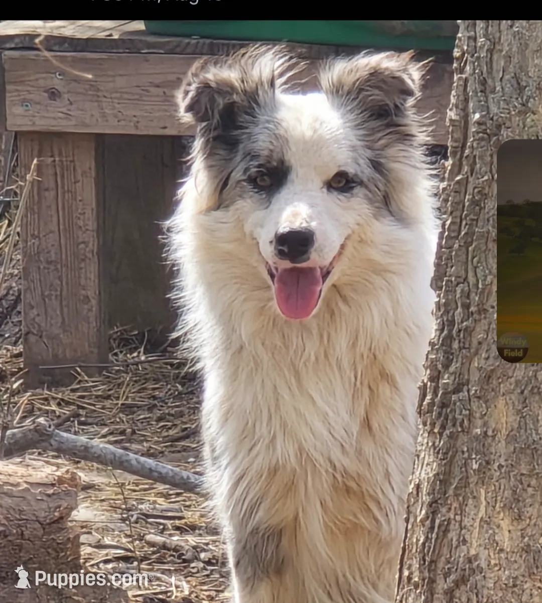 processed/daa0828e-9ec7-4d79-9ecf-45448d07f433/listing/bb62d57c-179e-4900-958a-a3160869cfe9/05cf0f83-8099-49a1-b2c2-c5f53fbfca80