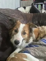 processed/daa0828e-9ec7-4d79-9ecf-45448d07f433/listing/bb62d57c-179e-4900-958a-a3160869cfe9/75a0b980-b70e-4629-85f8-ab2c1f456973