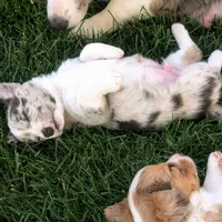 processed/dab21bc1-92b6-4c4c-b275-26e3618ede5a/facility/5c9e67e9-aeb8-47da-9a48-736049c6f344