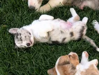 processed/dab21bc1-92b6-4c4c-b275-26e3618ede5a/facility/5c9e67e9-aeb8-47da-9a48-736049c6f344