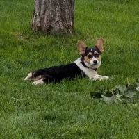 processed/dab21bc1-92b6-4c4c-b275-26e3618ede5a/facility/7c6f2810-f9e6-40b2-8d52-c8e754712da6