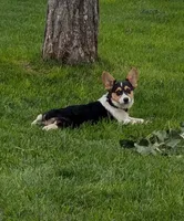 processed/dab21bc1-92b6-4c4c-b275-26e3618ede5a/facility/7c6f2810-f9e6-40b2-8d52-c8e754712da6