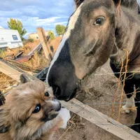 processed/dab21bc1-92b6-4c4c-b275-26e3618ede5a/facility/f07edc9a-034b-4a2c-8fa0-27c84b0ca1fe