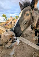 processed/dab21bc1-92b6-4c4c-b275-26e3618ede5a/facility/f07edc9a-034b-4a2c-8fa0-27c84b0ca1fe