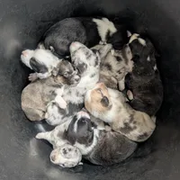 processed/dab21bc1-92b6-4c4c-b275-26e3618ede5a/facility/f95ce94f-e835-4bff-871f-f35d2f375664