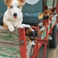 processed/dab21bc1-92b6-4c4c-b275-26e3618ede5a/facility/fb022d67-c712-43f4-b7d8-142b62cfcbd0