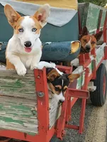 processed/dab21bc1-92b6-4c4c-b275-26e3618ede5a/facility/fb022d67-c712-43f4-b7d8-142b62cfcbd0